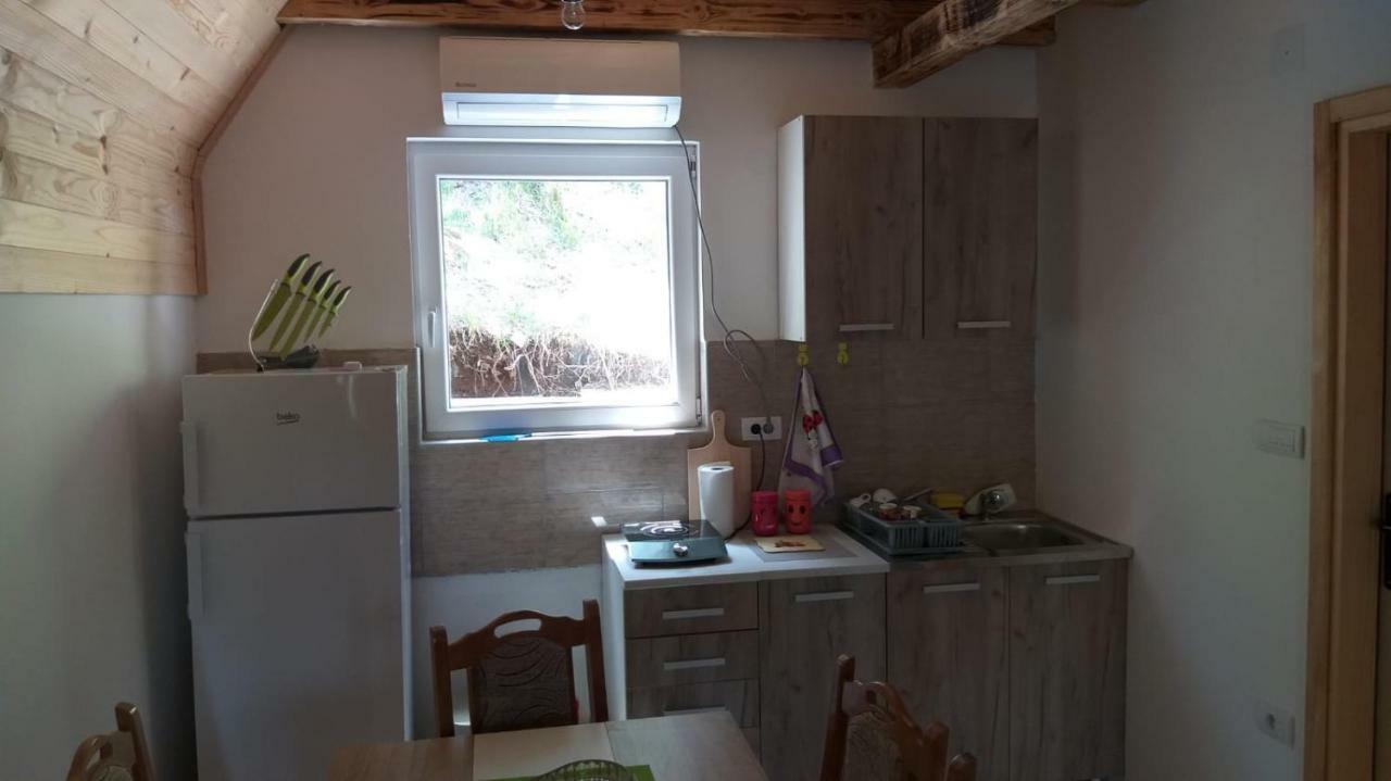Vila Daniela Zaovine Zewnętrze zdjęcie