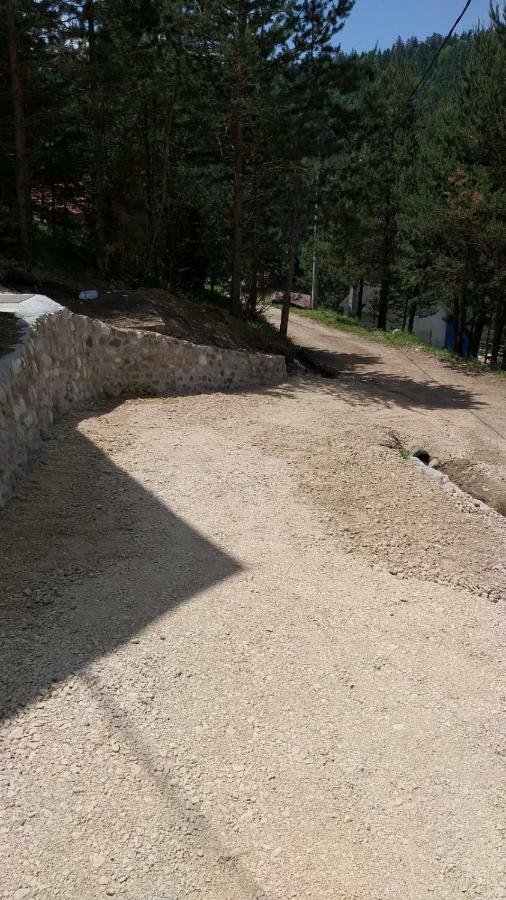 Vila Daniela Zaovine Zewnętrze zdjęcie