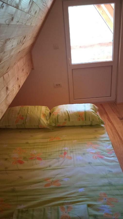 Vila Daniela Zaovine Zewnętrze zdjęcie