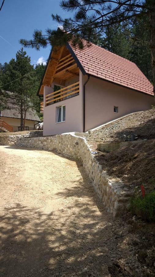 Vila Daniela Zaovine Zewnętrze zdjęcie