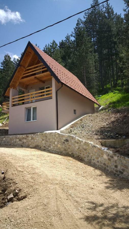 Vila Daniela Zaovine Zewnętrze zdjęcie